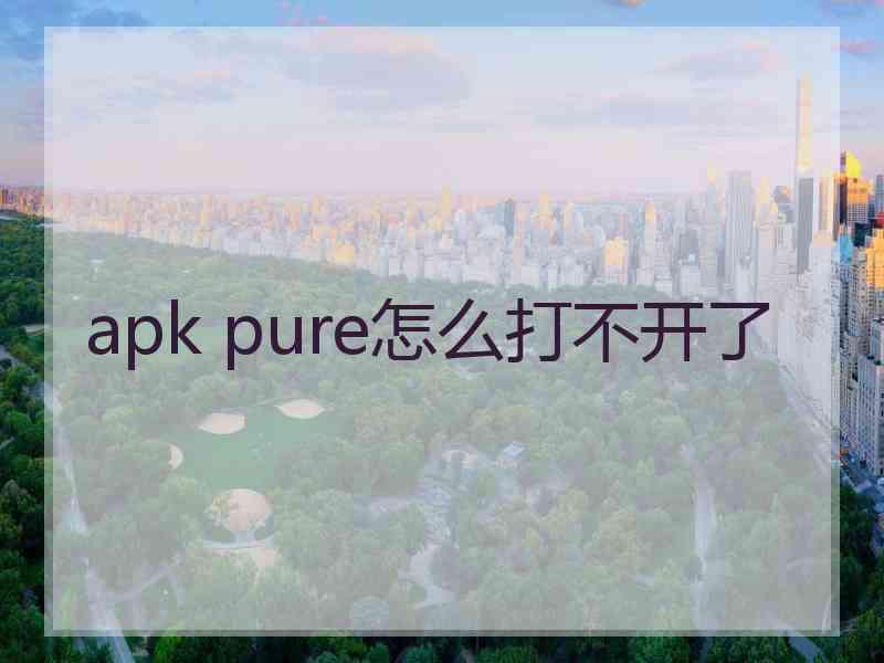 apk pure怎么打不开了