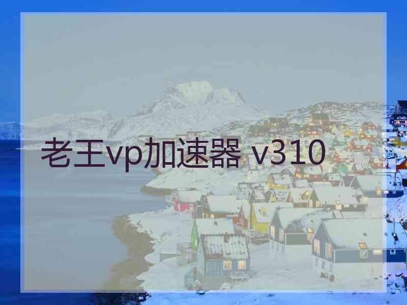 老王vp加速器 v310