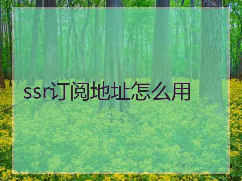 ssr订阅地址怎么用