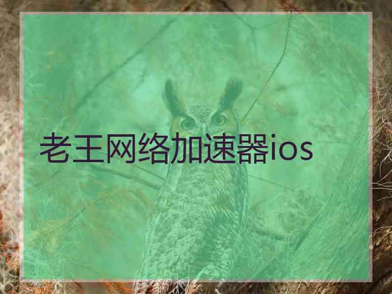 老王网络加速器ios