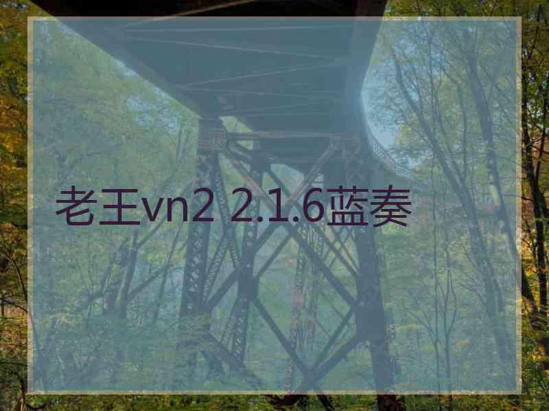 老王vn2 2.1.6蓝奏