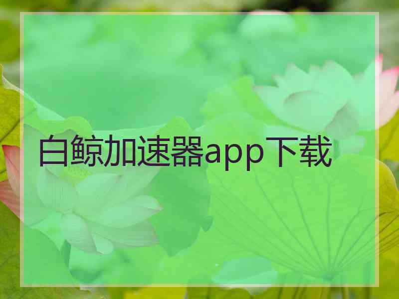 白鲸加速器app下载