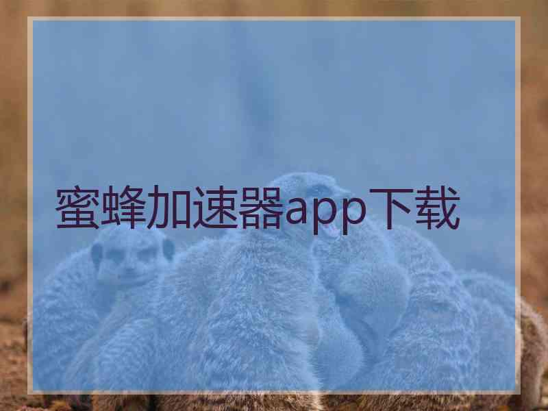 蜜蜂加速器app下载