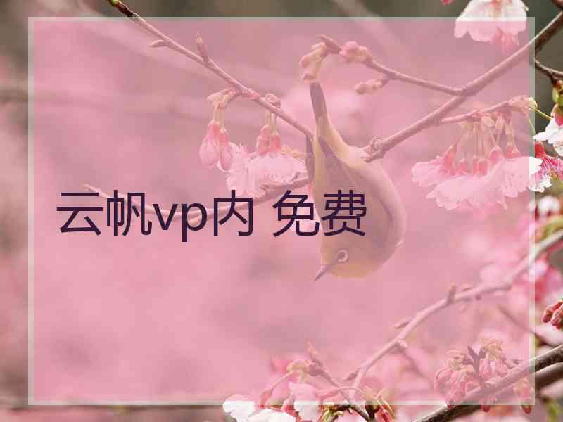 云帆vp内 免费