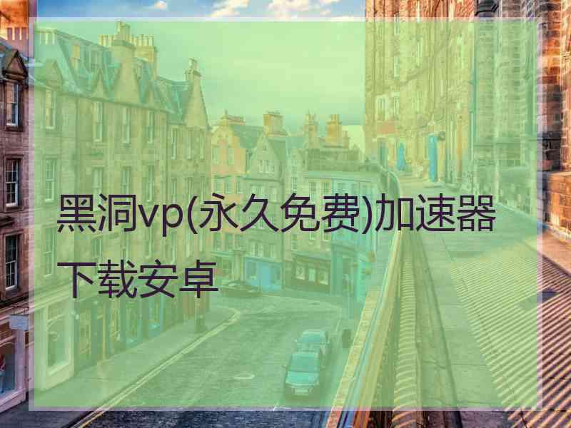 黑洞vp(永久免费)加速器下载安卓