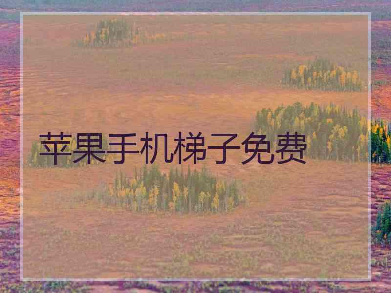 苹果手机梯子免费