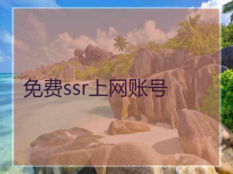 免费ssr上网账号