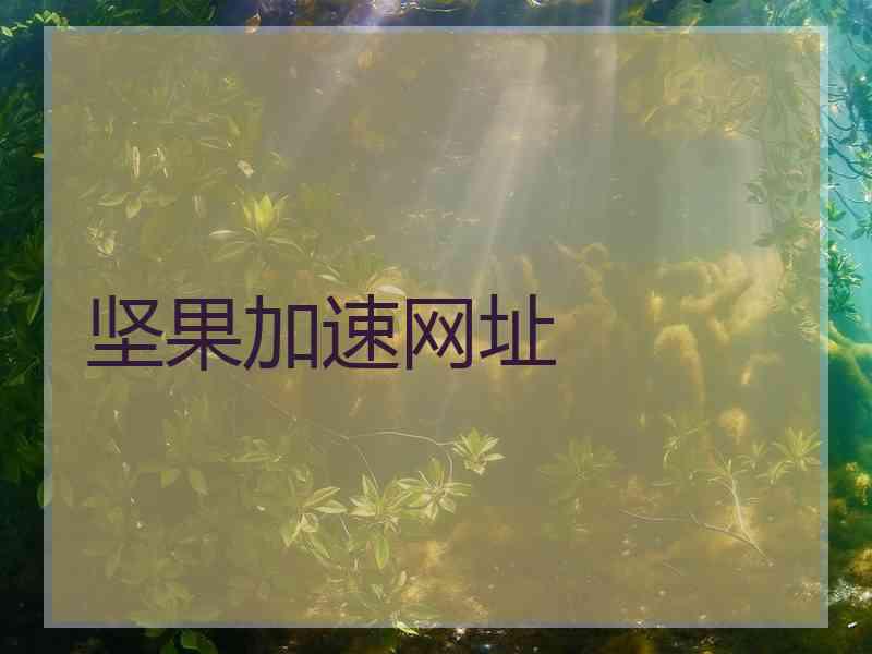 坚果加速网址