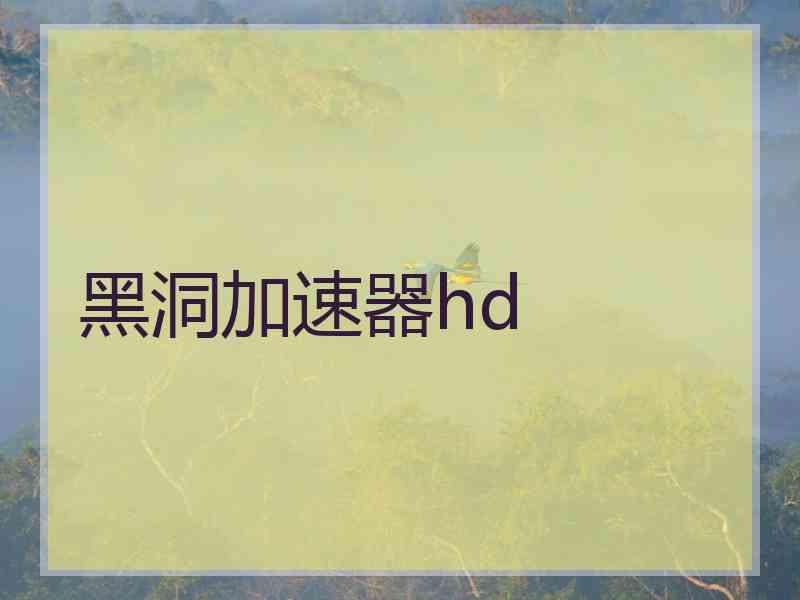 黑洞加速器hd