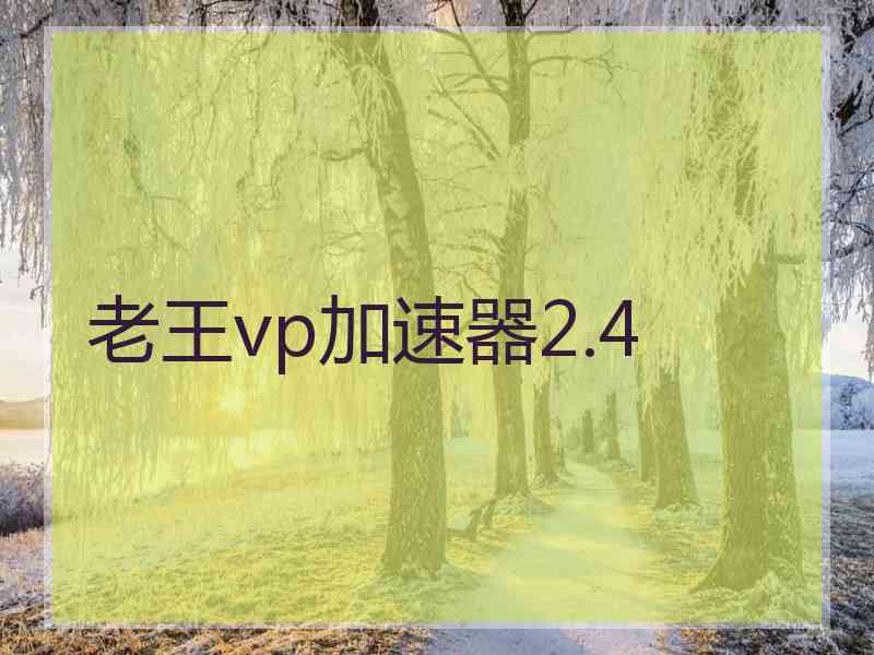 老王vp加速器2.4