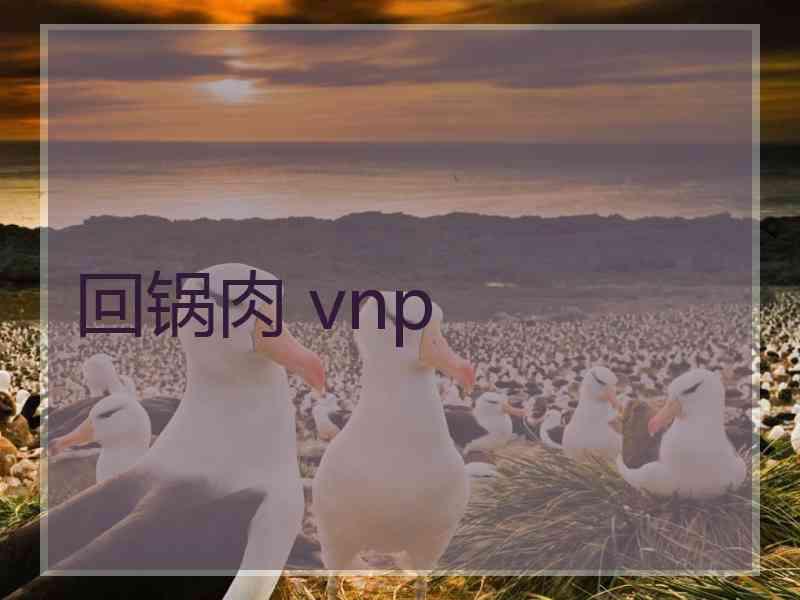 回锅肉 vnp