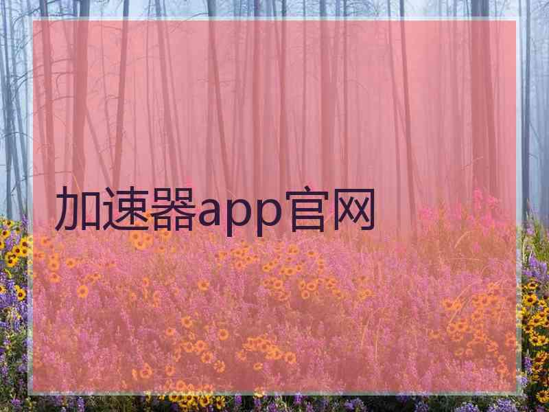 加速器app官网