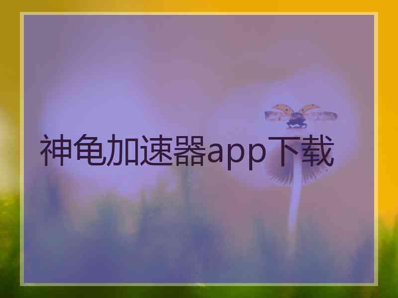 神龟加速器app下载