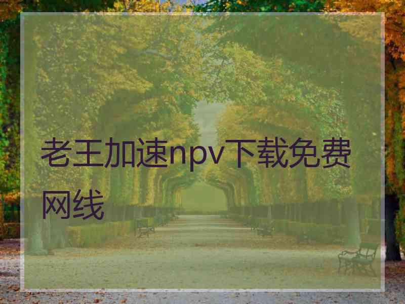 老王加速npv下载免费网线