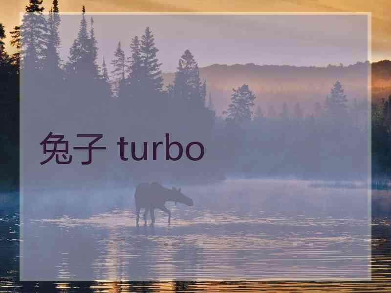 兔子 turbo