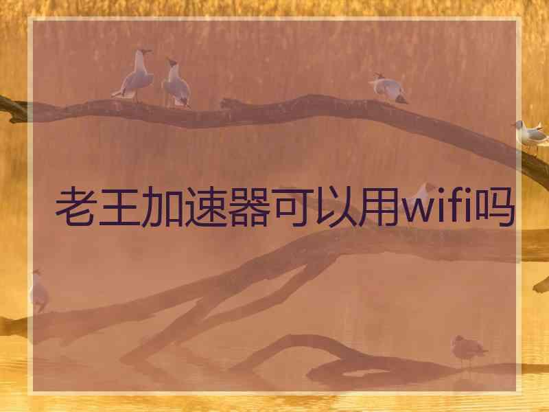 老王加速器可以用wifi吗