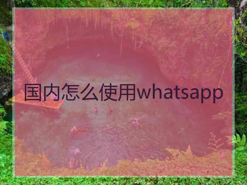 国内怎么使用whatsapp