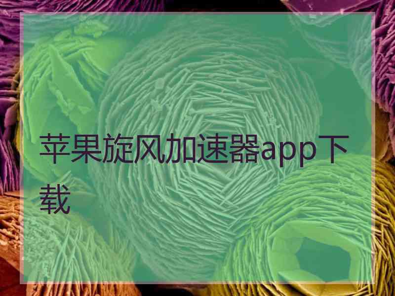 苹果旋风加速器app下载