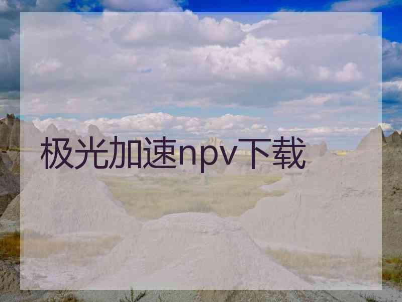 极光加速npv下载