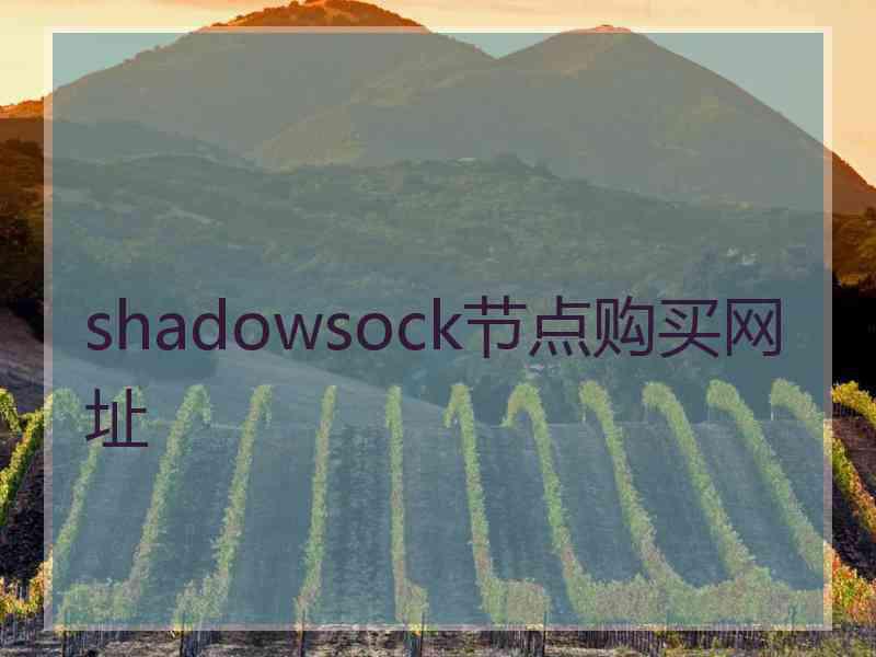 shadowsock节点购买网址