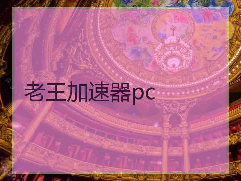 老王加速器pc