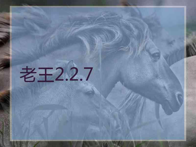 老王2.2.7