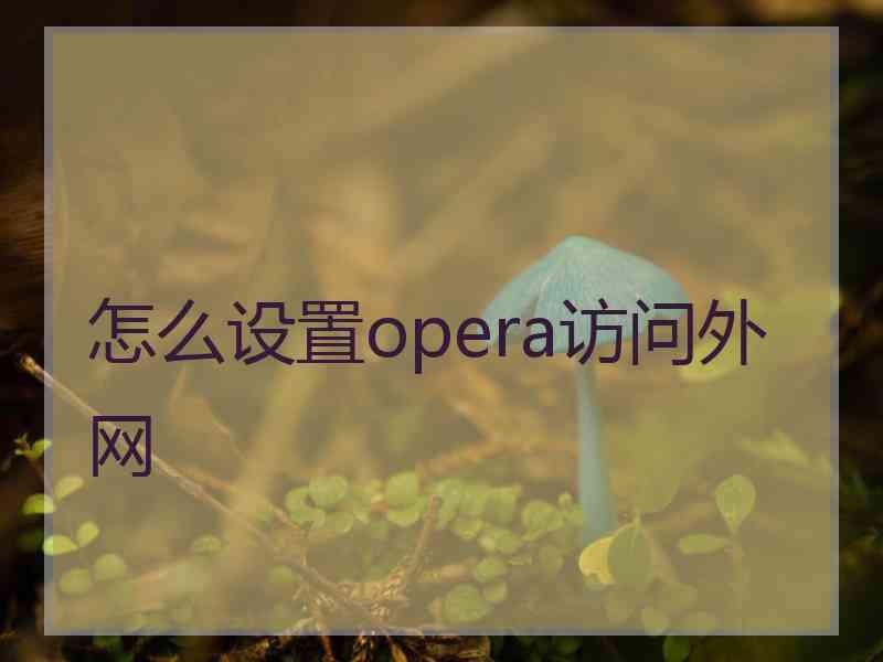 怎么设置opera访问外网