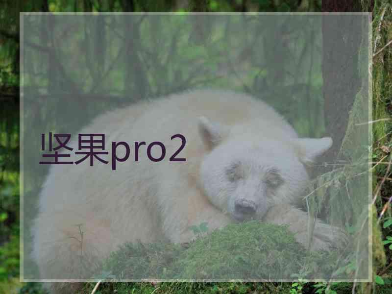 坚果pro2