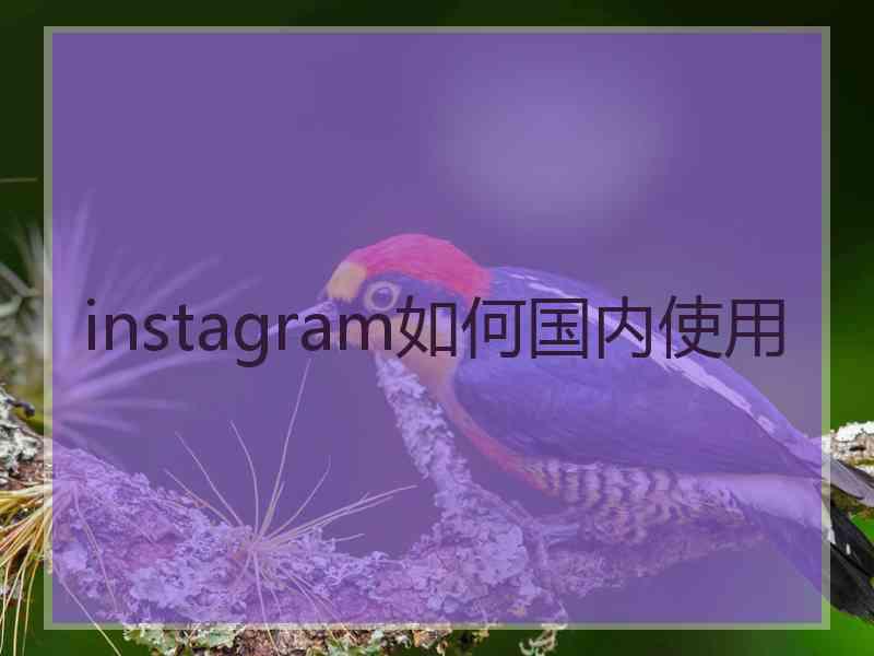 instagram如何国内使用