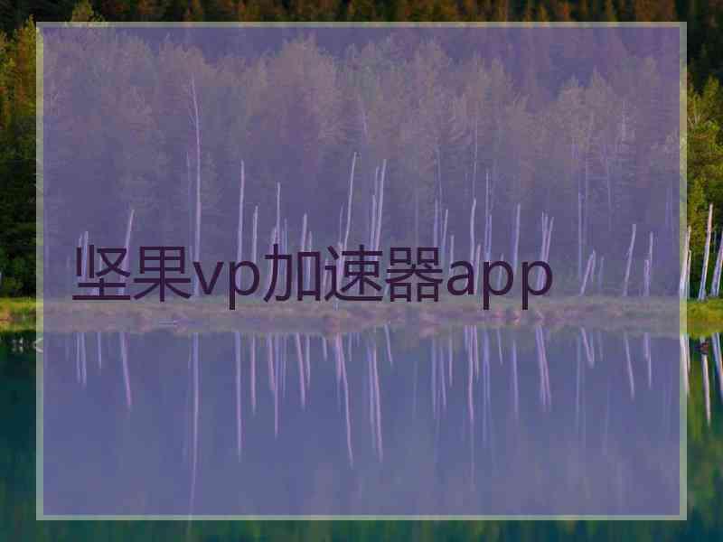 坚果vp加速器app