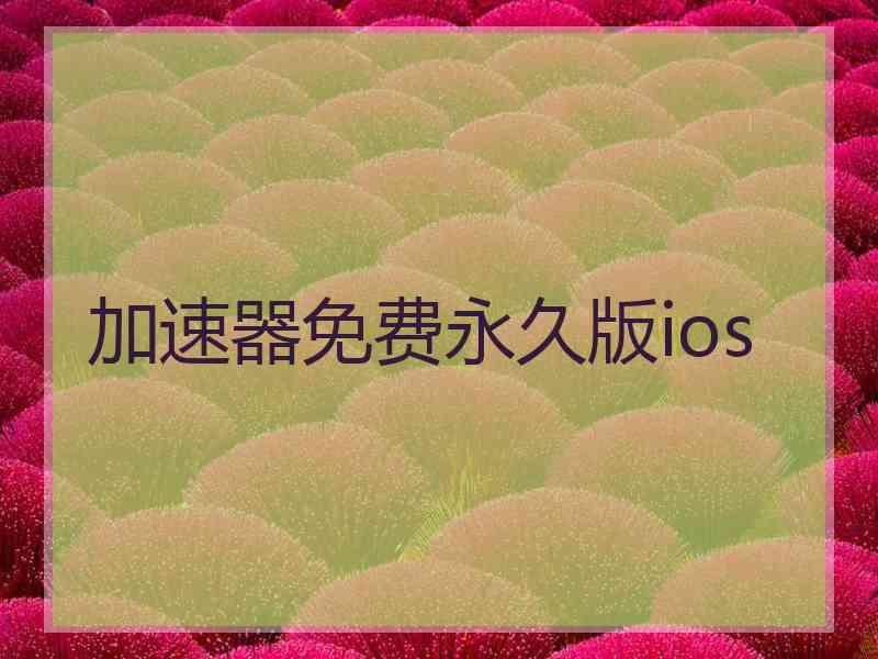 加速器免费永久版ios