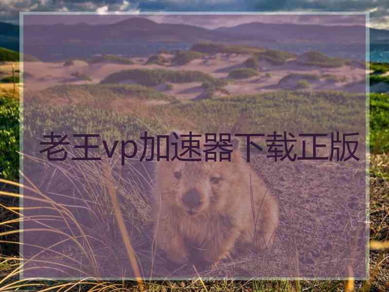 老王vp加速器下载正版