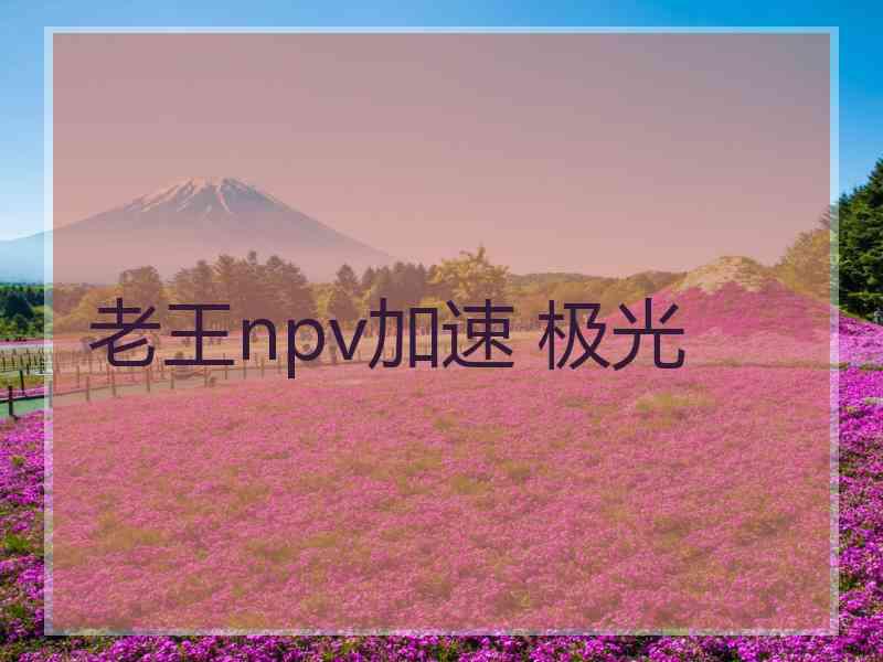 老王npv加速 极光