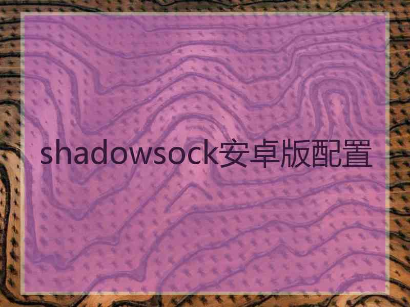 shadowsock安卓版配置