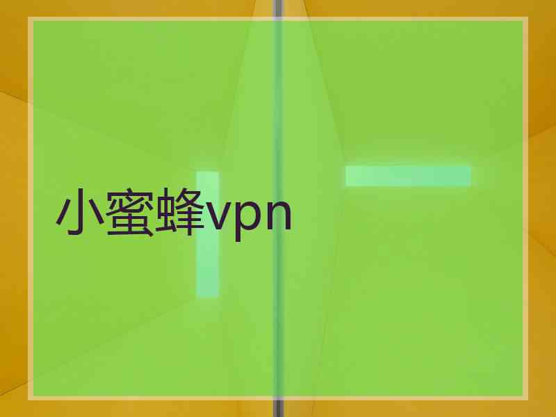 小蜜蜂vpn