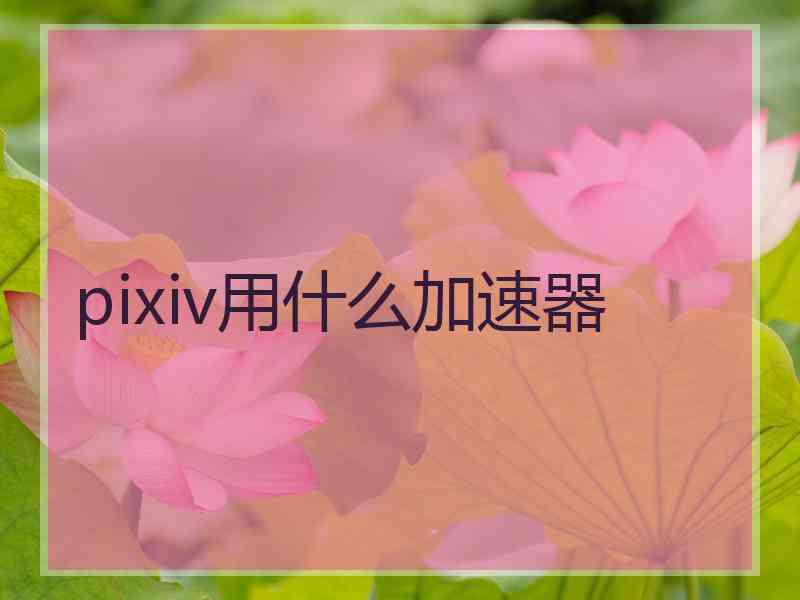 pixiv用什么加速器