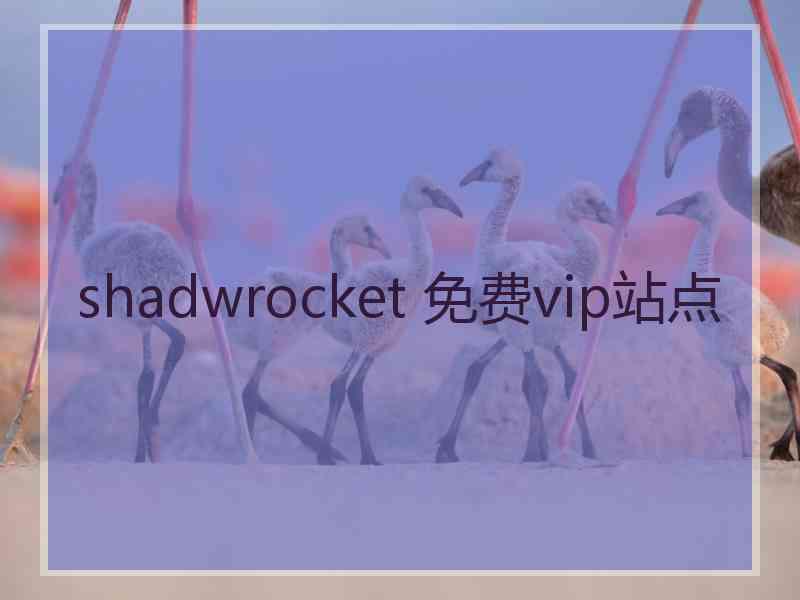 shadwrocket 免费vip站点