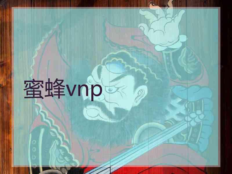 蜜蜂vnp