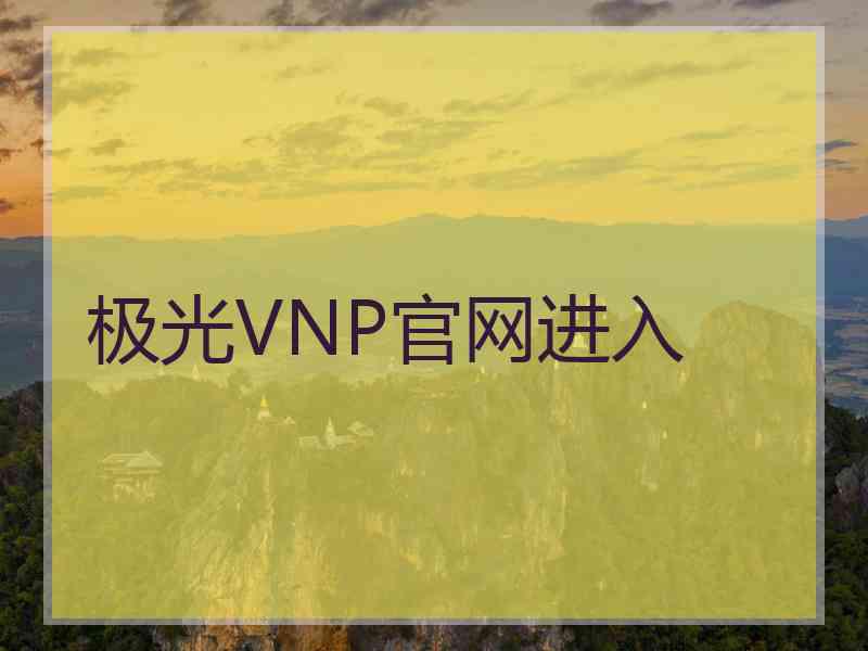 极光VNP官网进入