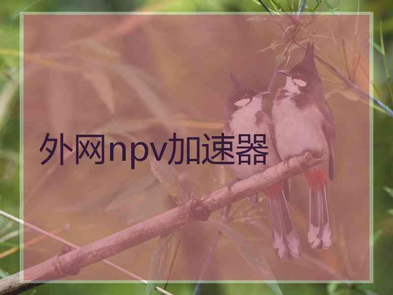 外网npv加速器