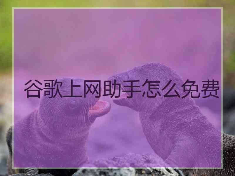 谷歌上网助手怎么免费