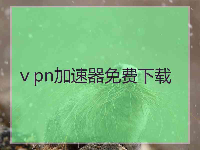 ⅴpn加速器免费下载