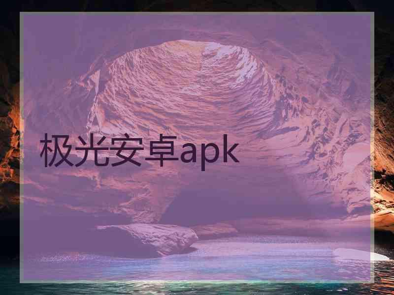 极光安卓apk