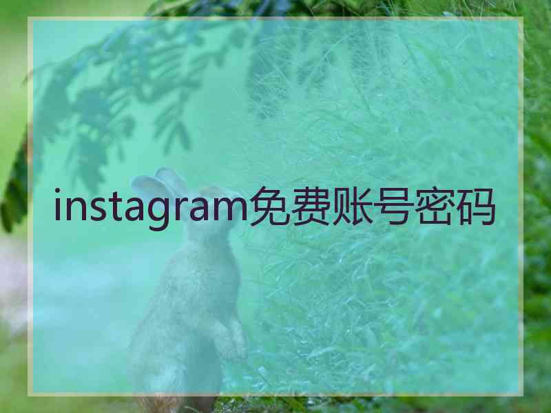 instagram免费账号密码