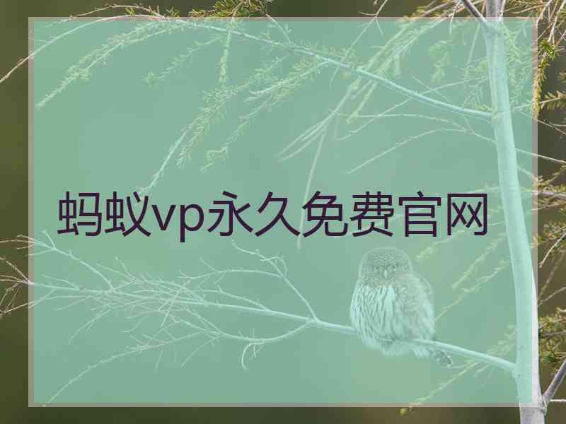 蚂蚁vp永久免费官网