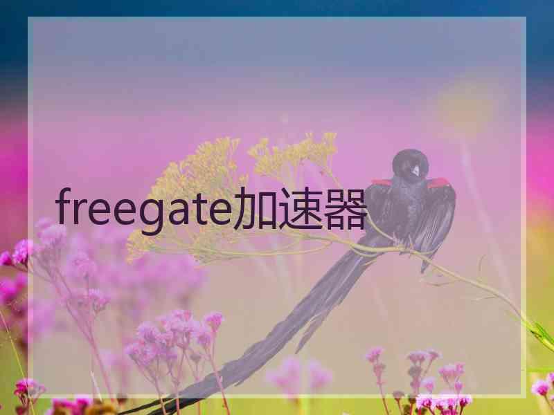 freegate加速器