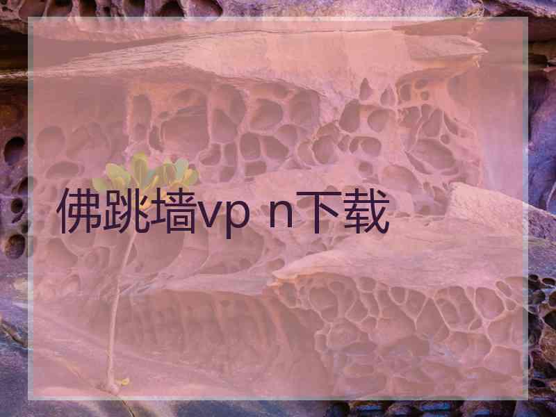 佛跳墙vp n下载