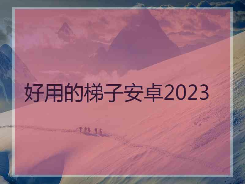 好用的梯子安卓2023