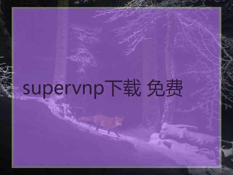 supervnp下载 免费