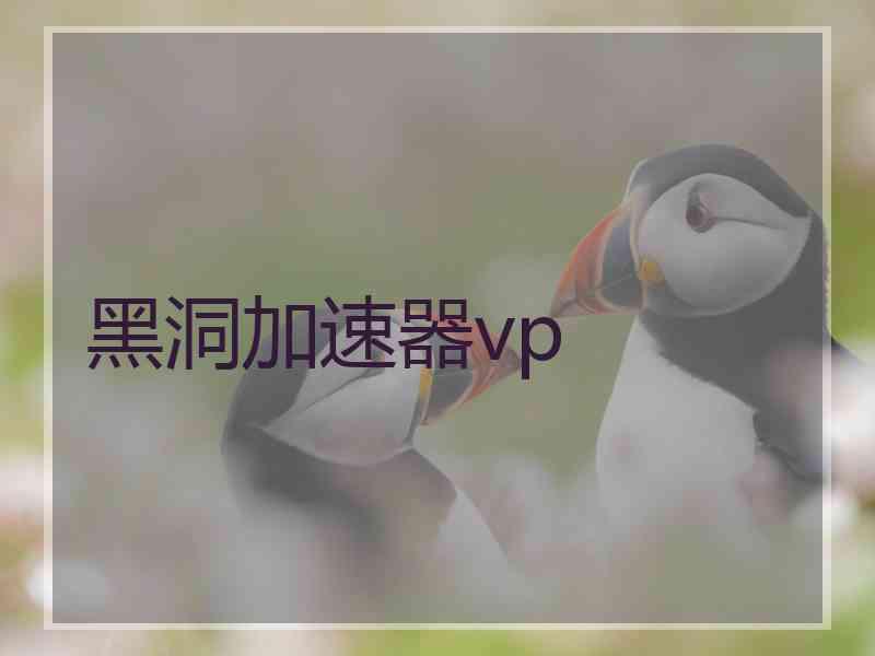 黑洞加速器vp